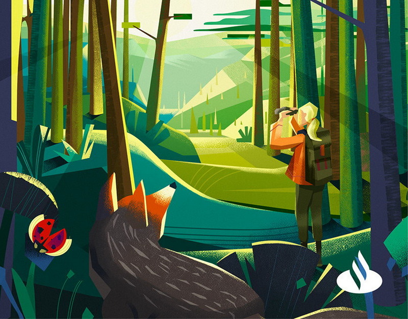 Соруководитель CD Projekt раскрыл, зачем игроков The Witcher 3: Wild Hunt заставили выбирать между Йеннифэр и Трисс